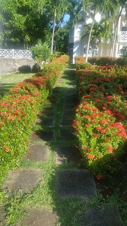 Chill On The Hill Apartamento Ocho Rios Jamaica