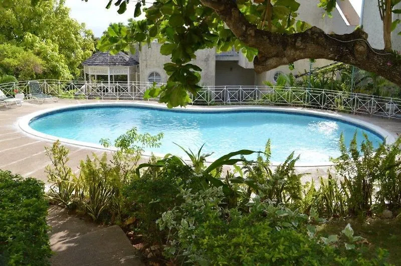 Chill On The Hill Lejlighed Ocho Rios